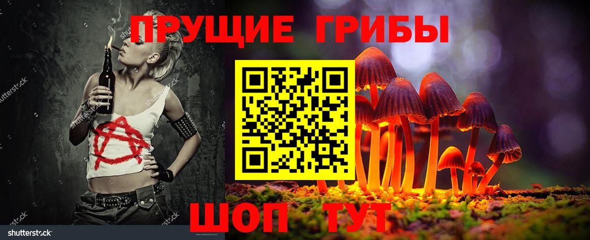 Моздок  Псилоцибиновые грибы GOLDEN TEACHER  Вход с VPN 